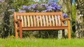 cornis-346b-l.jpg