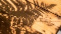 23712.22-Alaska-Skyline-Dining-Table-Natural-Teak-06-1536x864.jpg
