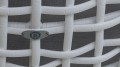 23567.01_Hanging-Dynasty_White-Mushroom-15mm_Skyline_05-1536x864.jpg